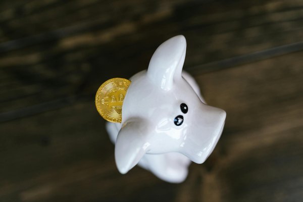 Quelle offre de prêt pour un achat en viager ?